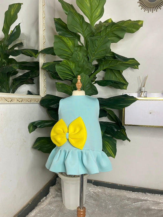 Girls party gown